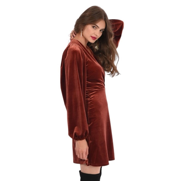 CLOSET LONDON BROWN RUST
VELVET PUFF SLEEVE A-LINE DRESS Holiday Party Wedding 2 - Picture 3 of 11